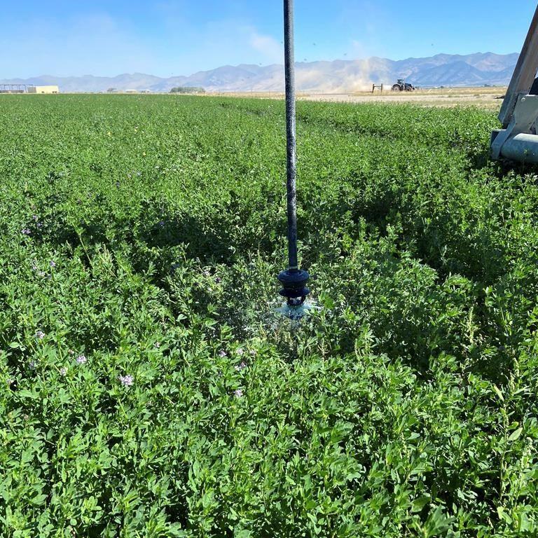 To conserve, Nevada may try to buy back groundwater rights